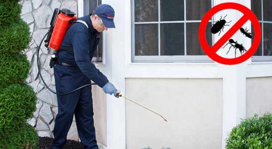 Seferihisar Bit İlaçlama böcek ilaçlama ve haşere kontrolü — ilaclama-tr.com
